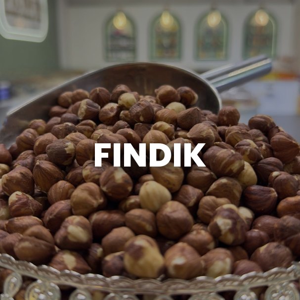 Fındık